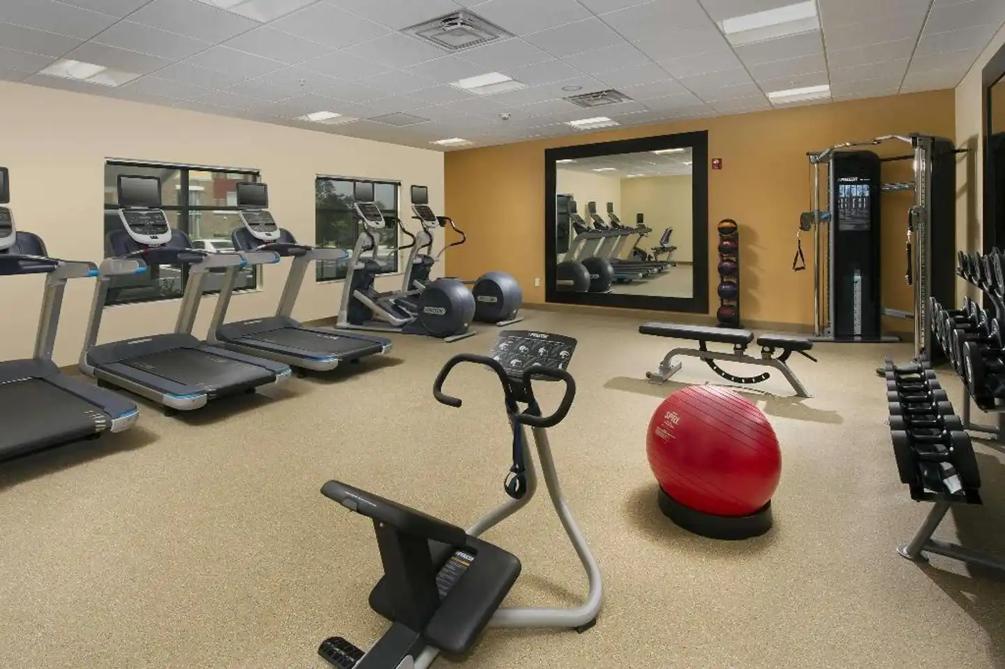 Homewood Suites by Hilton San Antonio Airport Sport und Entertainment
