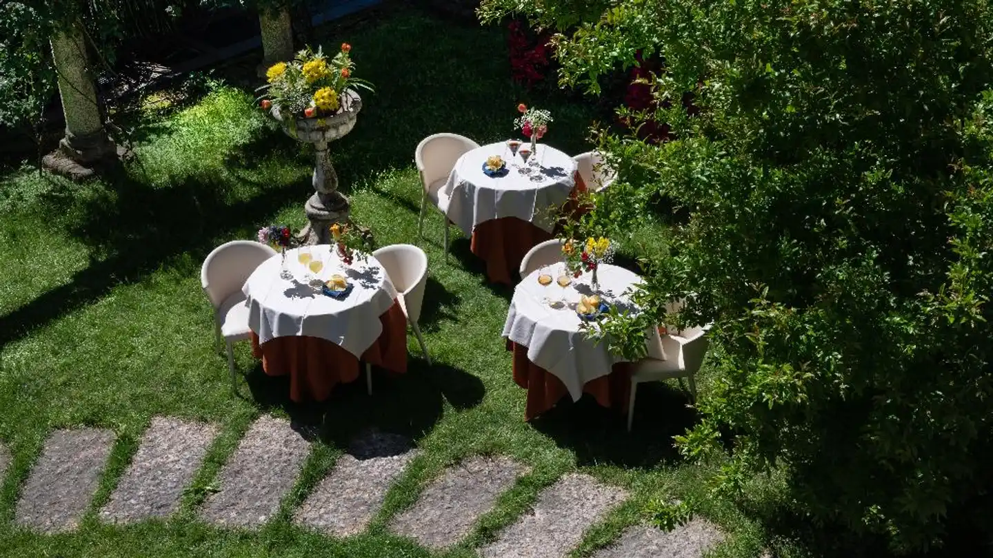 Sunflower Garten