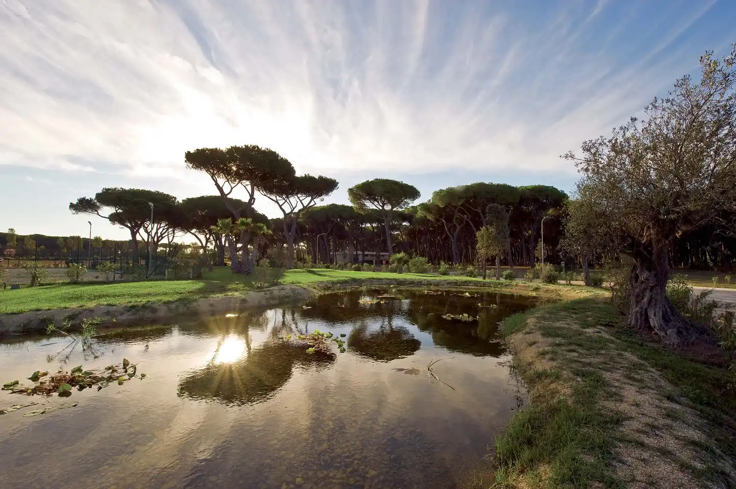 Camping Village Roma Capitol Landschaft
