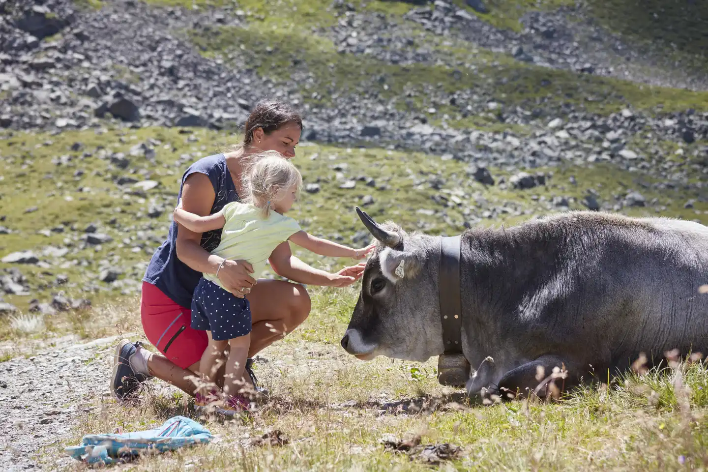 Auhof Tiere