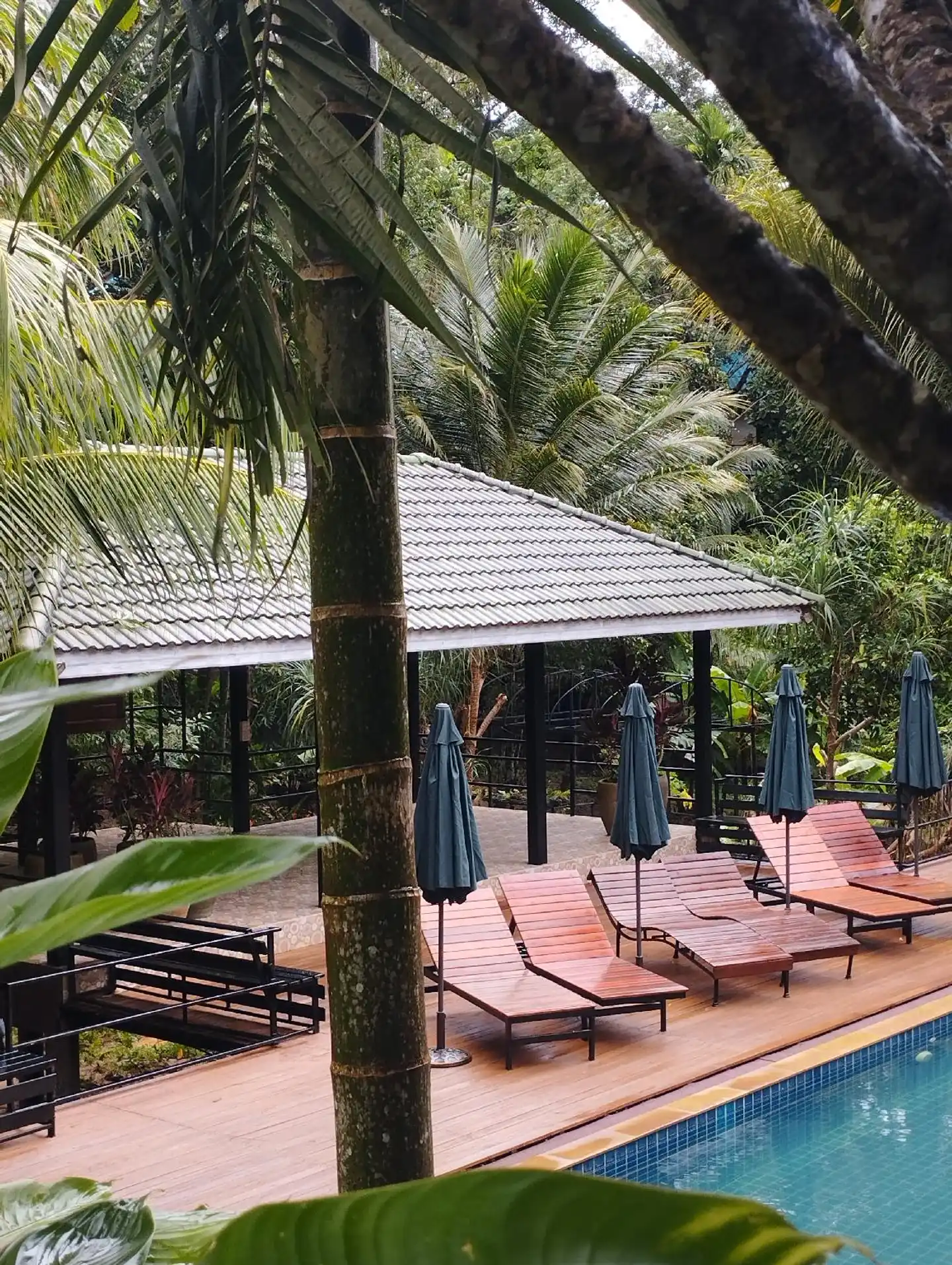 Phuket Jungle Experience Resort Terrasse