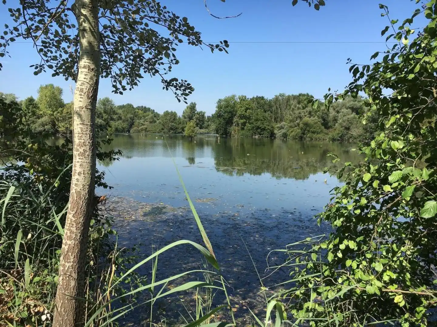 Hotel-Restaurant Löwen Landschaft