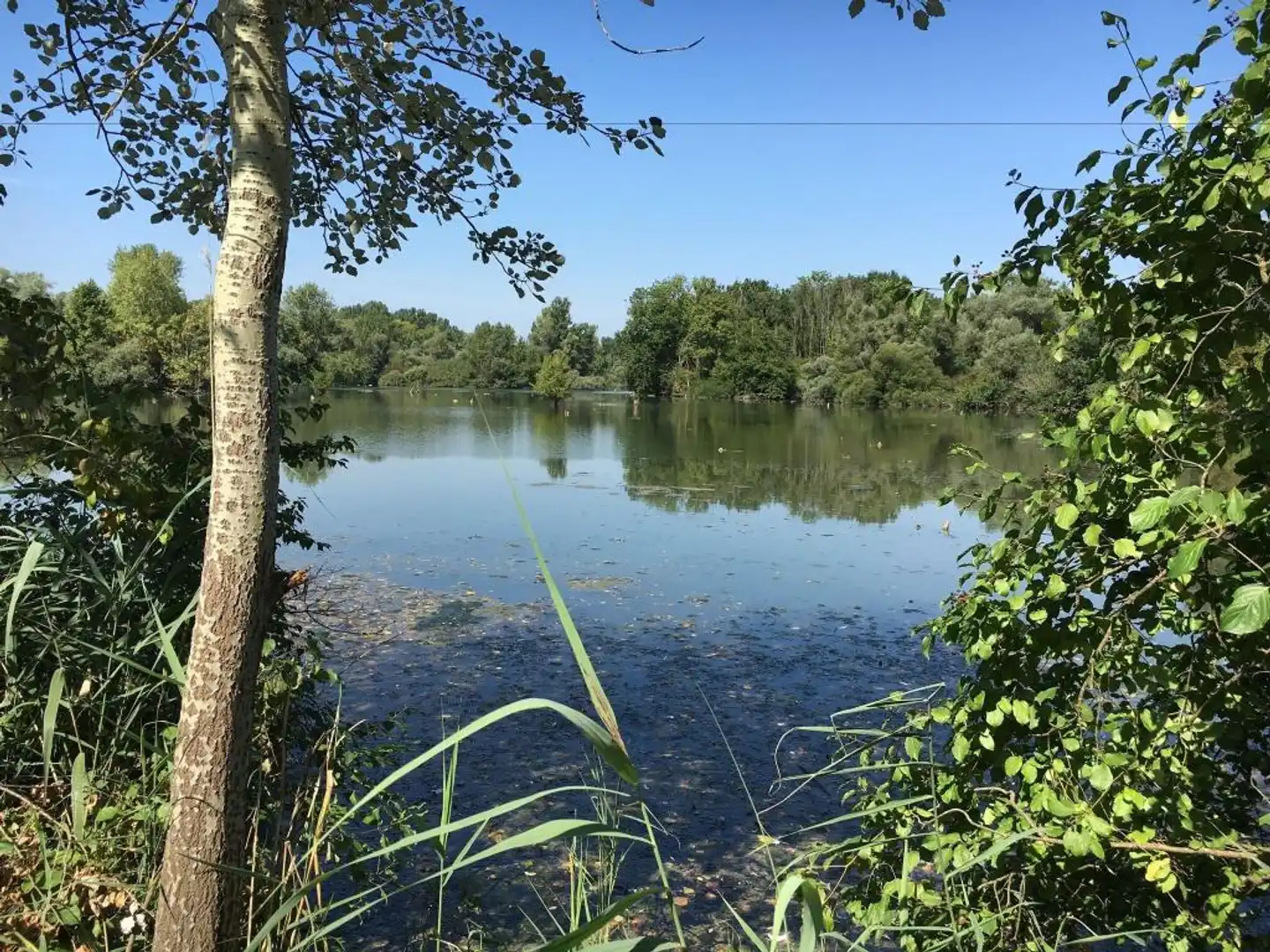 Hotel-Restaurant Löwen Landschaft