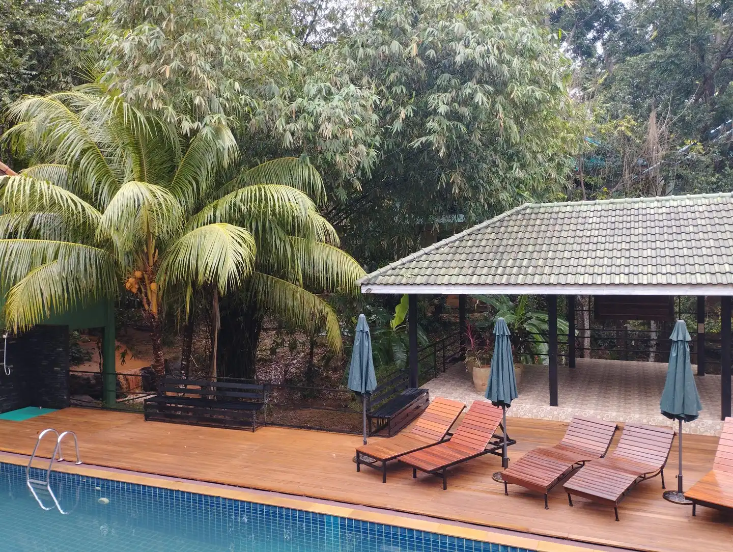 Phuket Jungle Experience Resort Pool