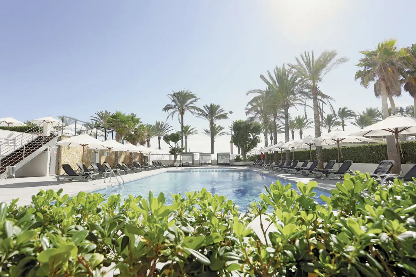 Playa Golf Pool