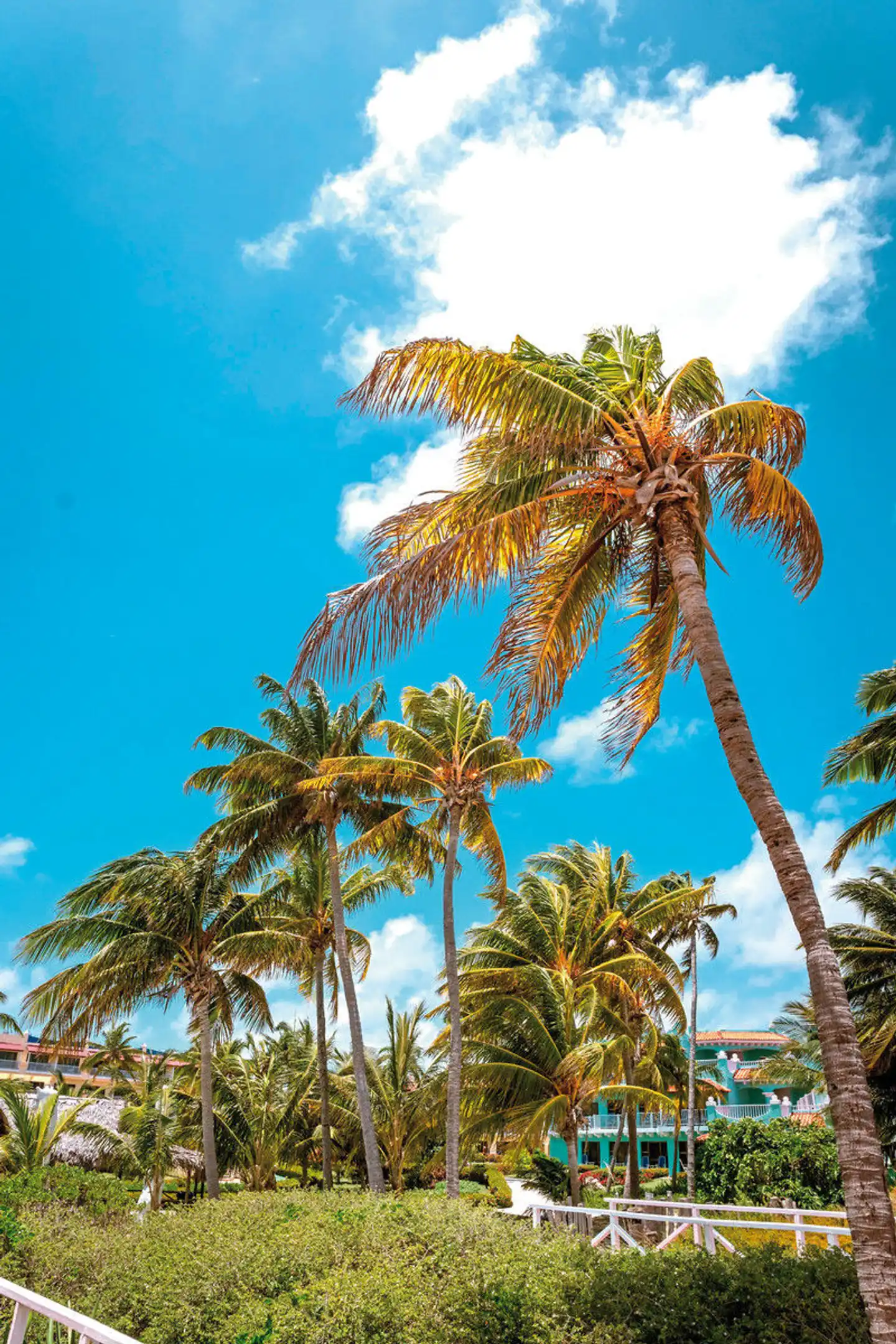 Iberostar Origin Daiquiri Landschaft