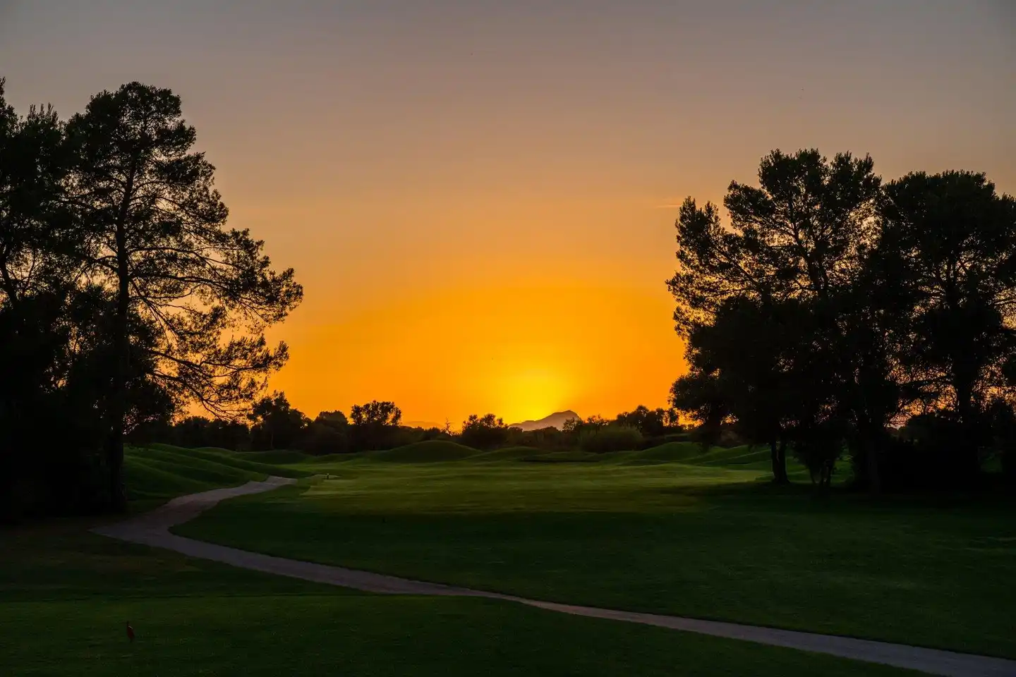 Hacienda Son Antem Golf Resort, Autograph Collection Landschaft