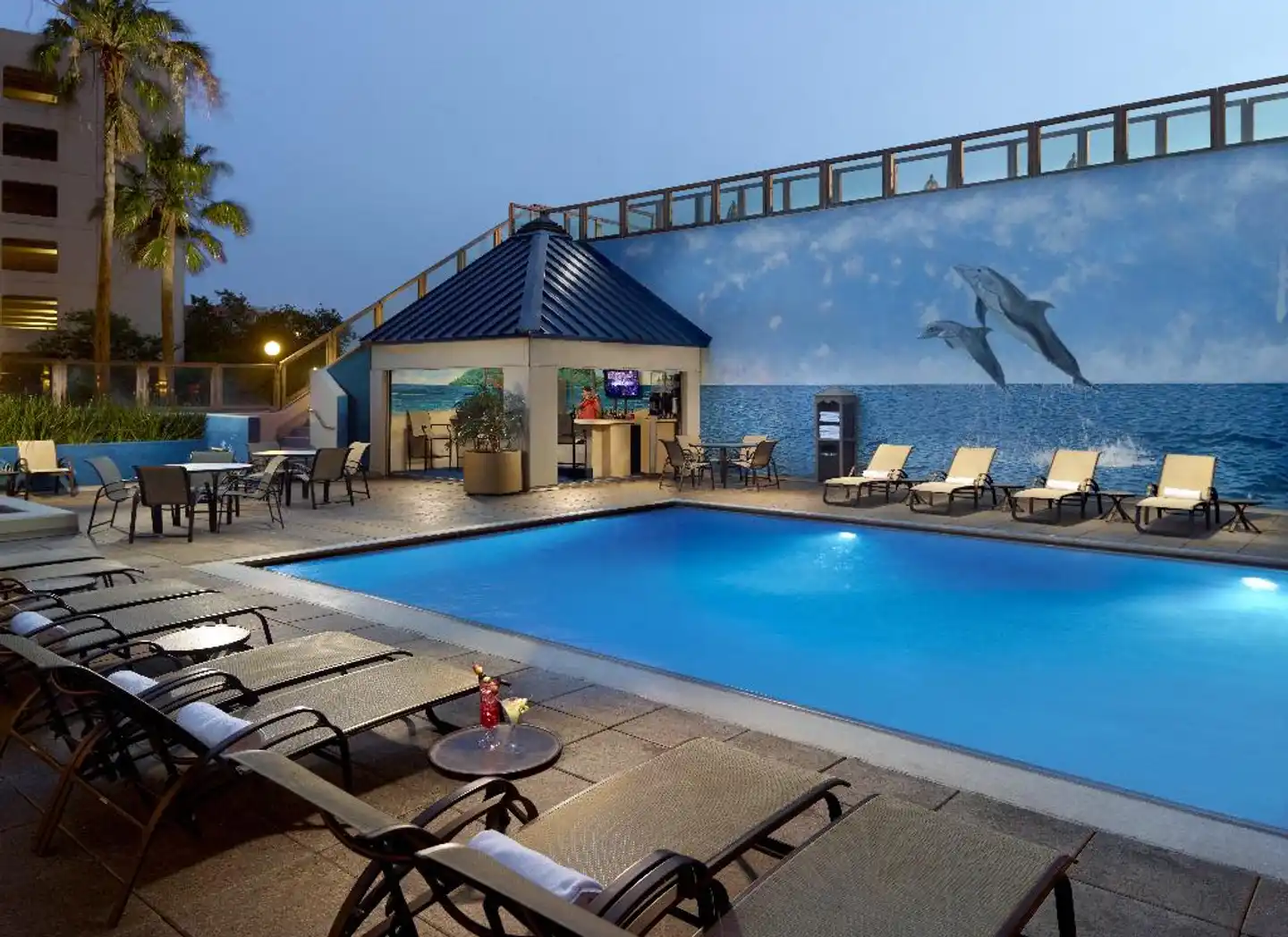 Omni Corpus Christi Pool