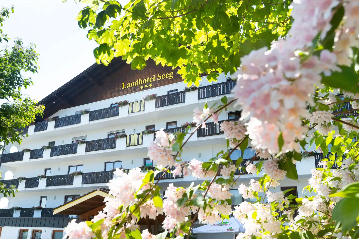 Ferienhotel Seeg Landschaft