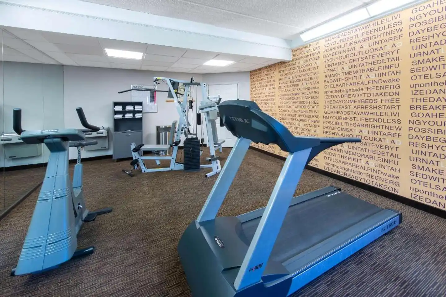 La Quinta Inn & Suites by Wyndham Tampa Brandon Regency Park Sport und Entertainment