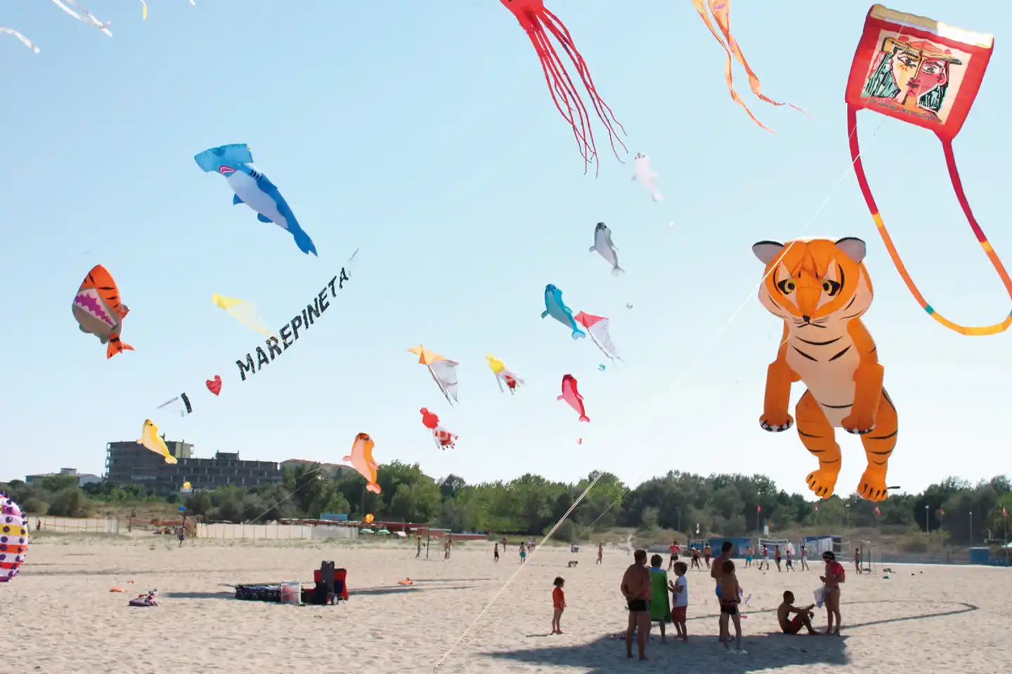 Camping Mare e Pineta (by Albatross) Sport und Entertainment