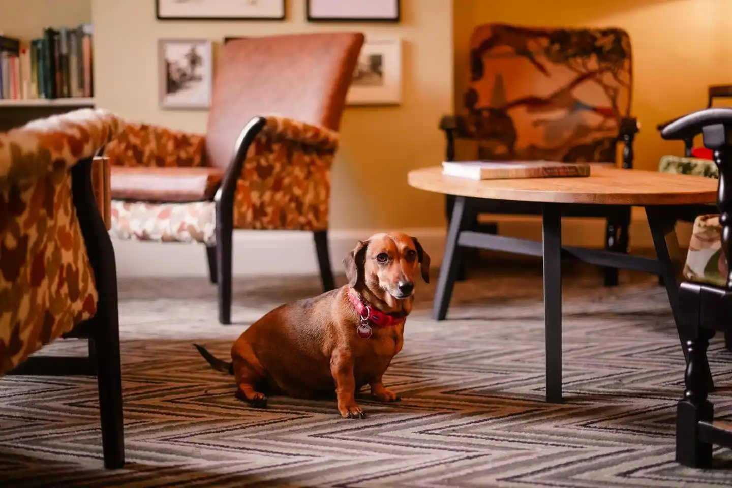 Royal Oak Hotel Wellness