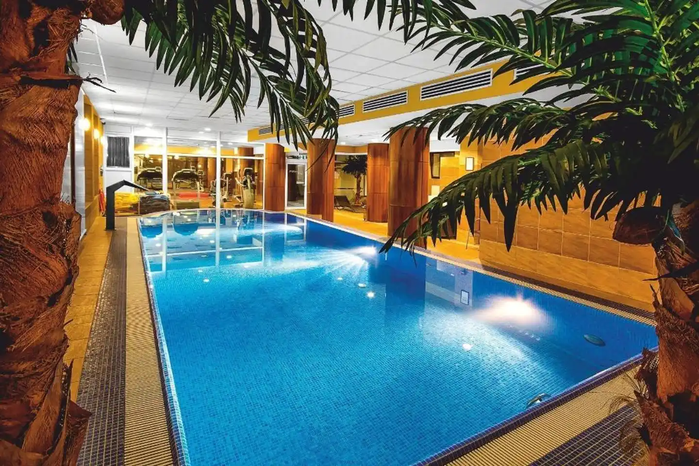Hotel Grand Royal Hallenbad