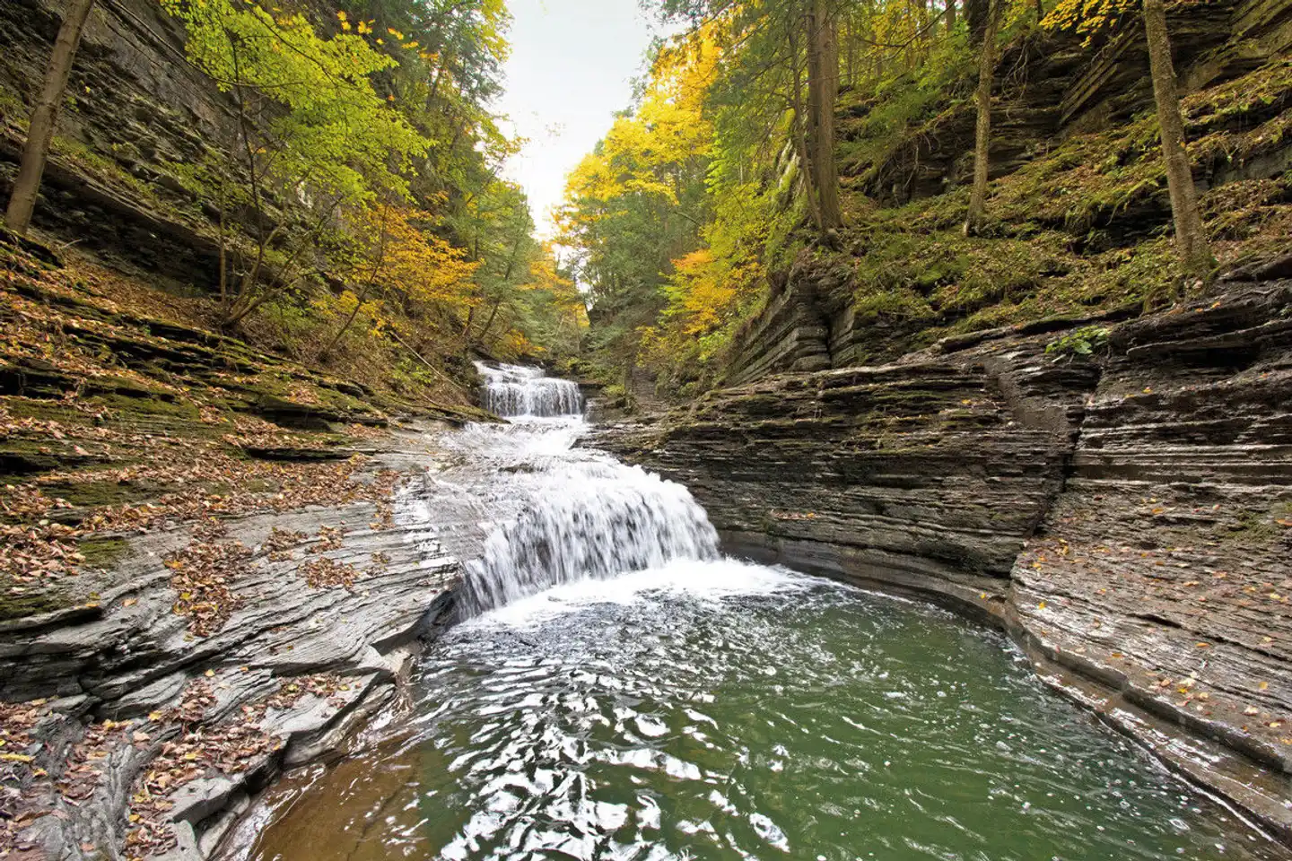 The Hotel Ithaca Landschaft