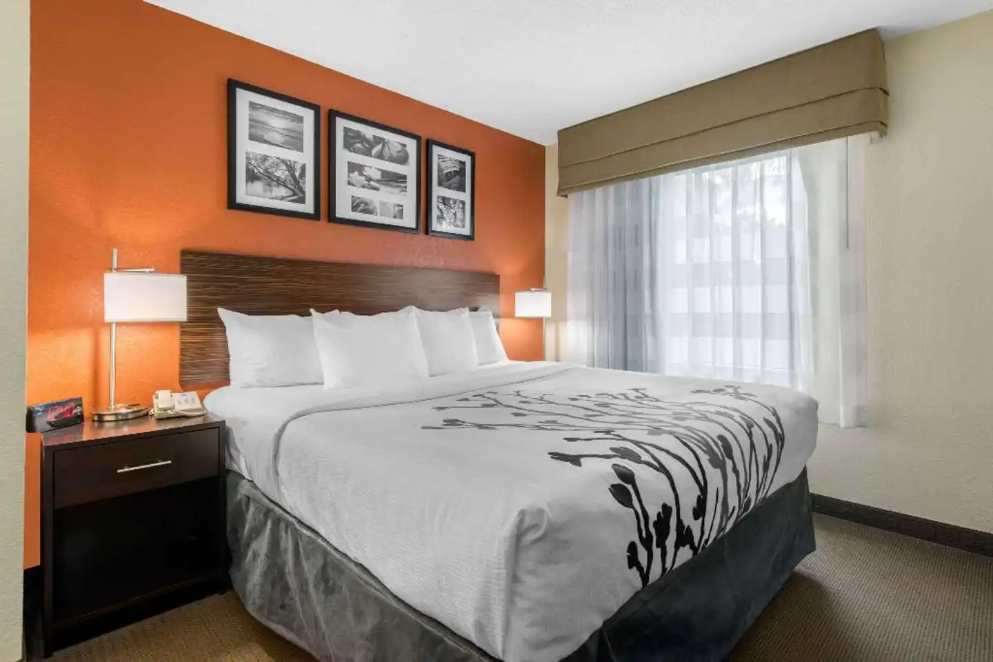 Sleep Inn Sarasota North Wohnbeispiel
