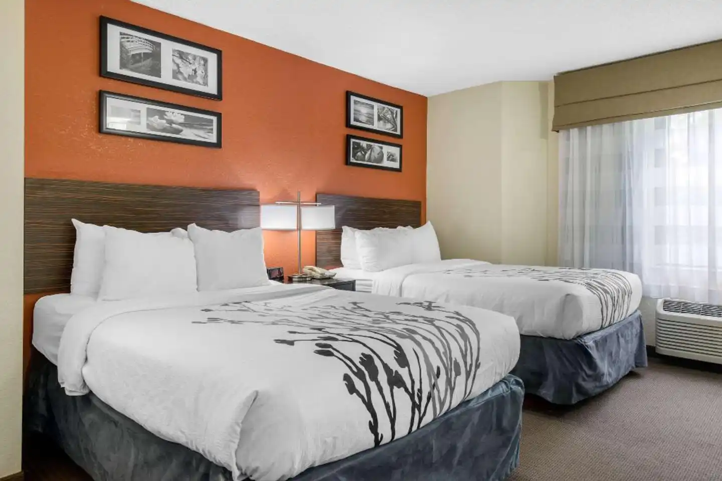 Sleep Inn Sarasota North Wohnbeispiel