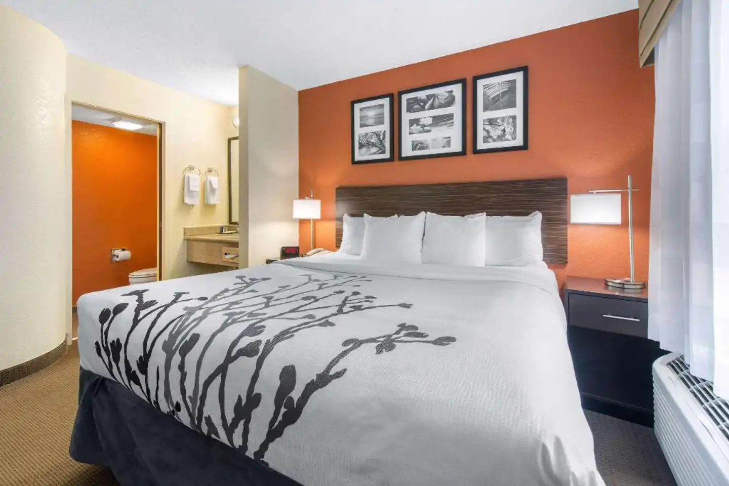 Sleep Inn Sarasota North Wohnbeispiel