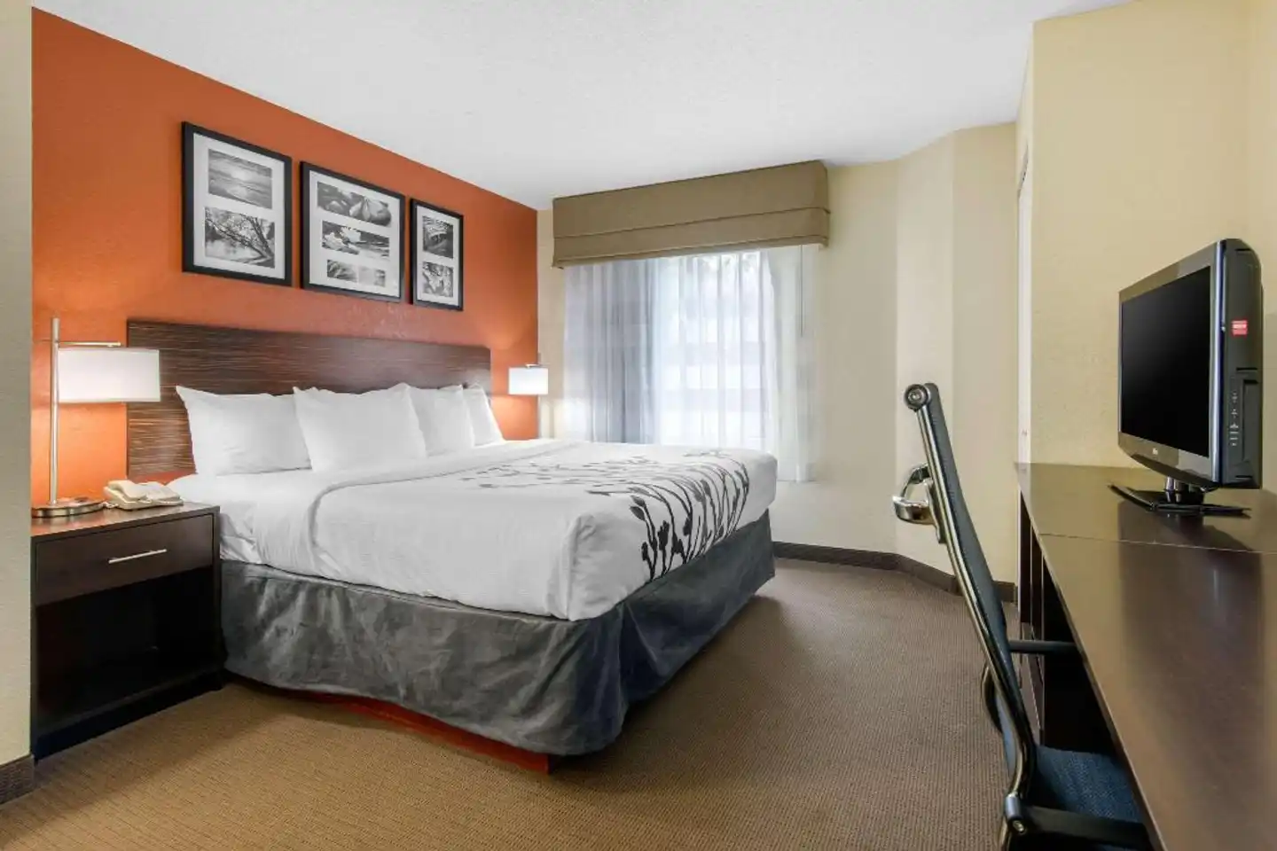 Sleep Inn Sarasota North Wohnbeispiel