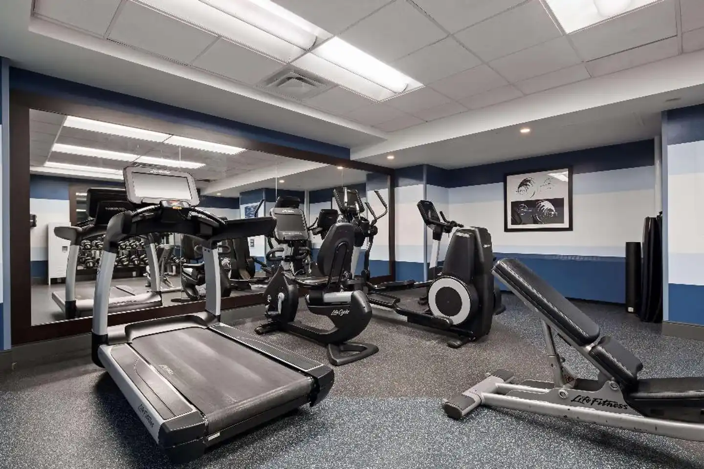 Best Western Plus Waterloo Sport und Entertainment