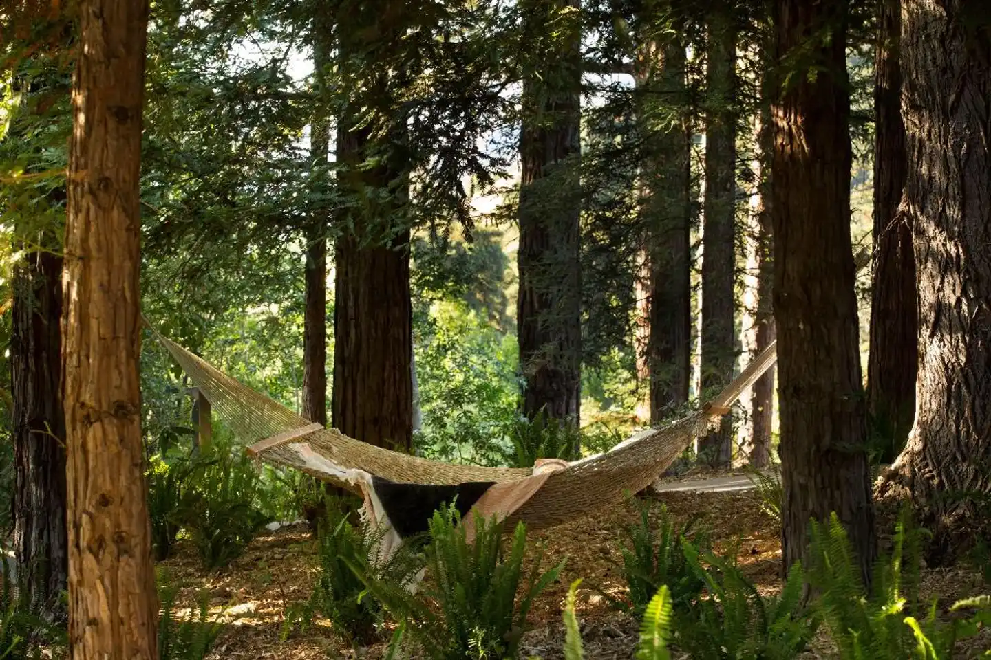 Ventana Big Sur - an Alila resort Landschaft