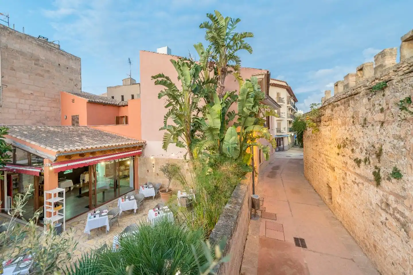 Alcudia Petit Hotel Landschaft