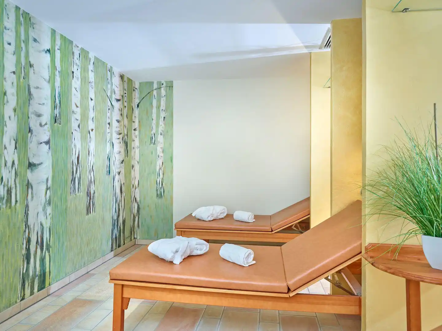 Hapimag Braunlage Wellness