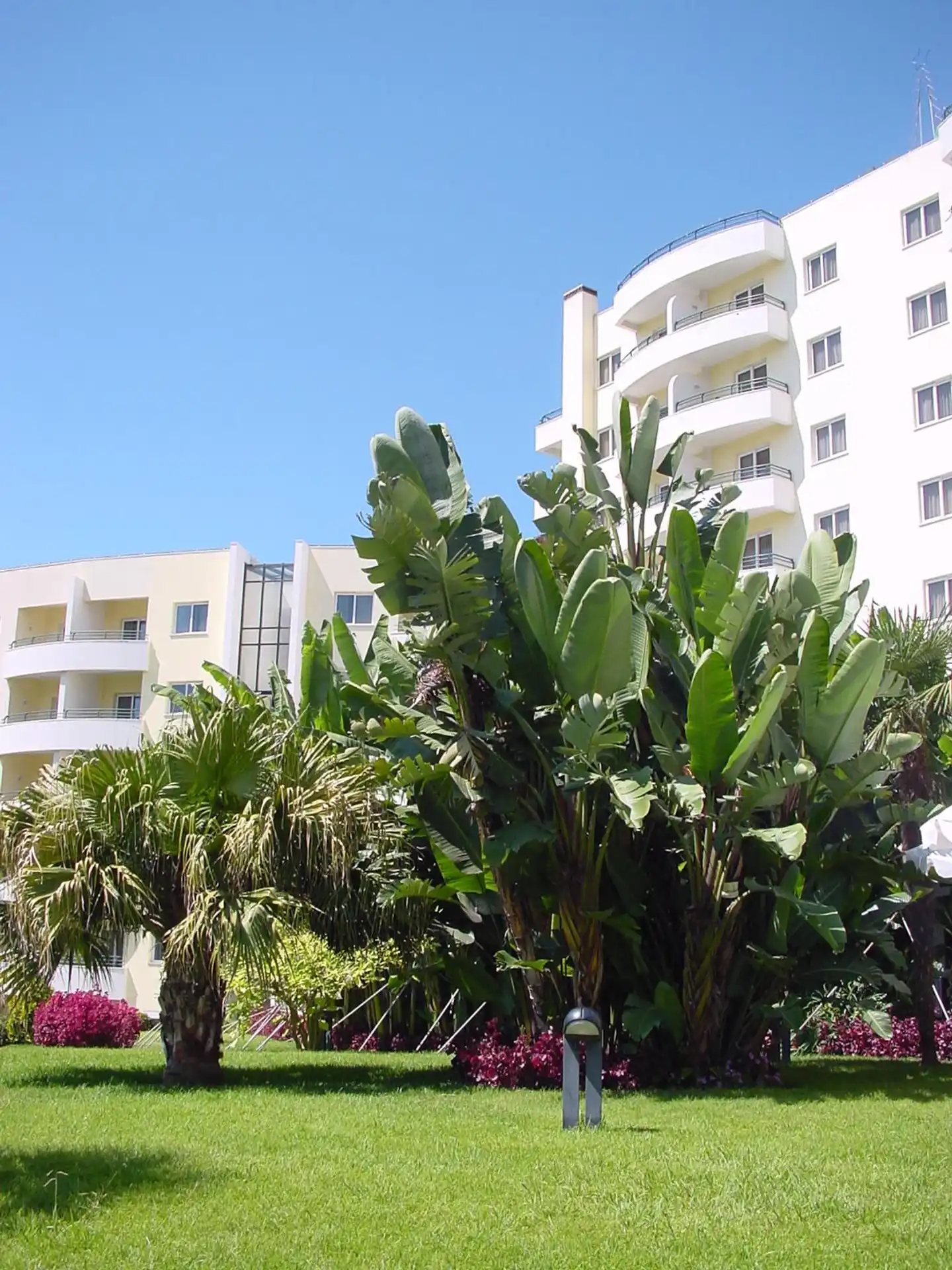 Suite Hotel Jardins Da Ajuda Aussenansicht