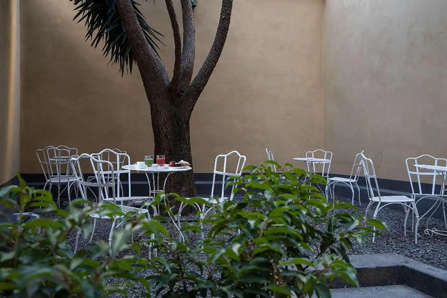 Hotel Palazzo Argenta Tiere