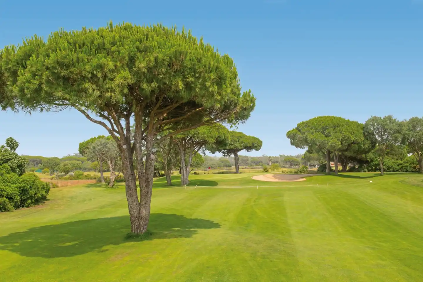 Iberostar Waves Royal Andalus Sport und Entertainment