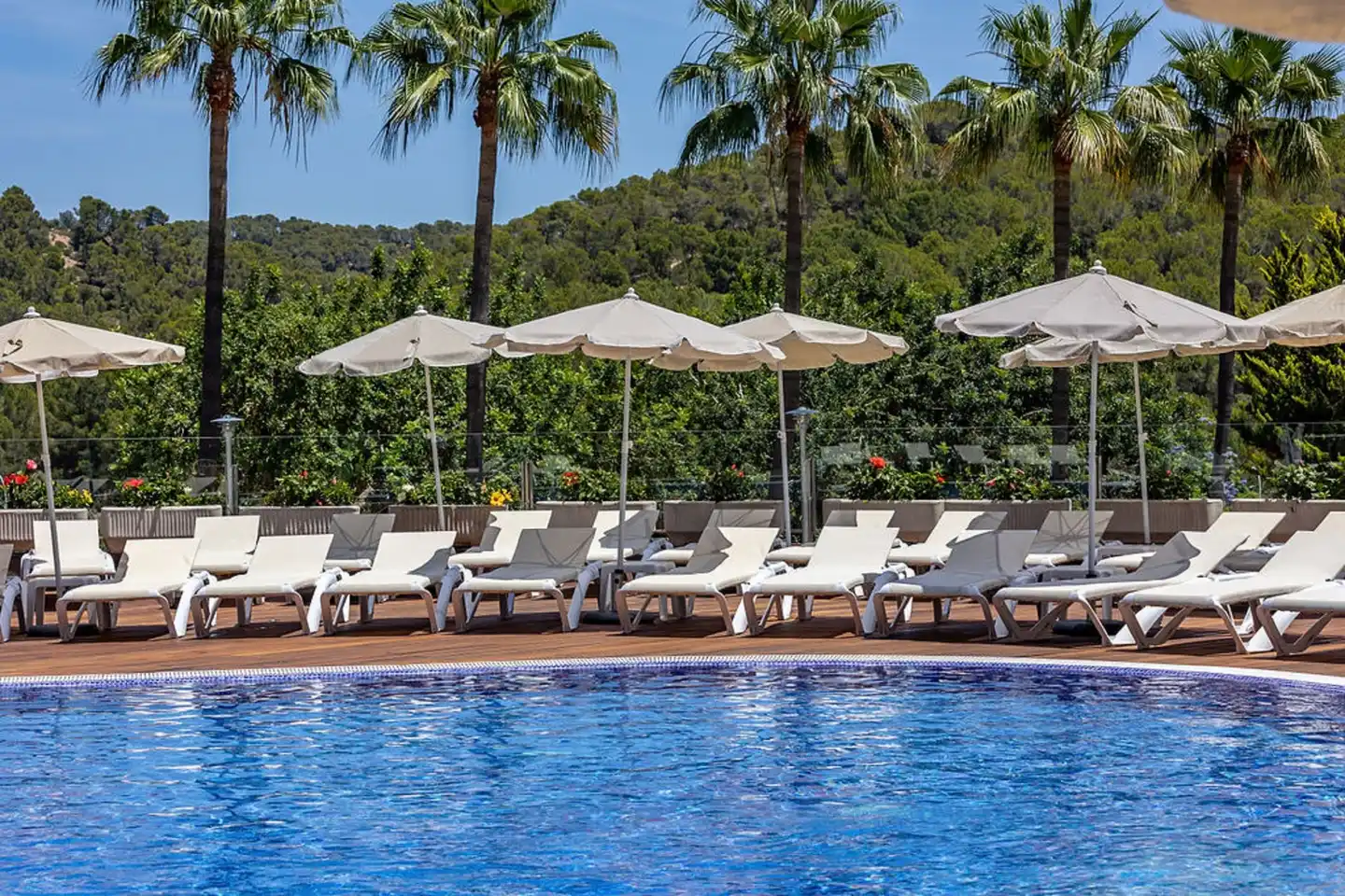 Ona Palmira Paradise Paguera Pool