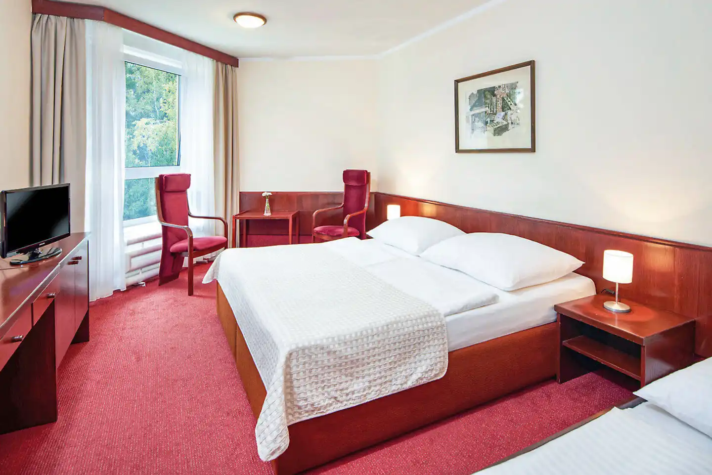 Wellness Hotel Svornost Wohnbeispiel