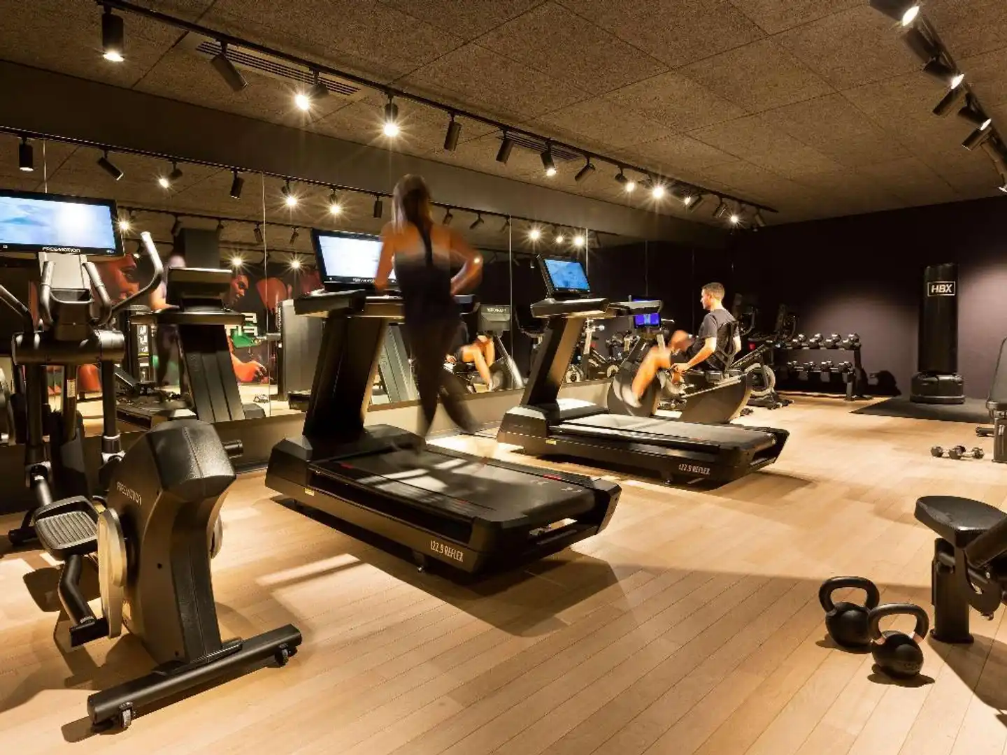 Pullman Lyon Sport und Entertainment
