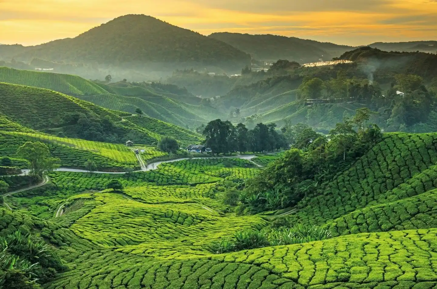 Singapur Rundreise  & Baden Malaysia Landschaft