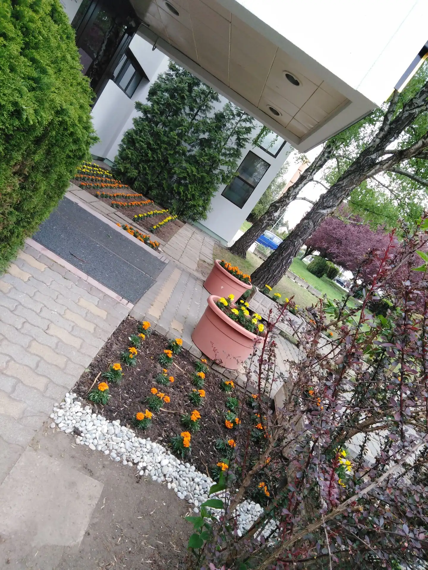 Magistern Aussenansicht