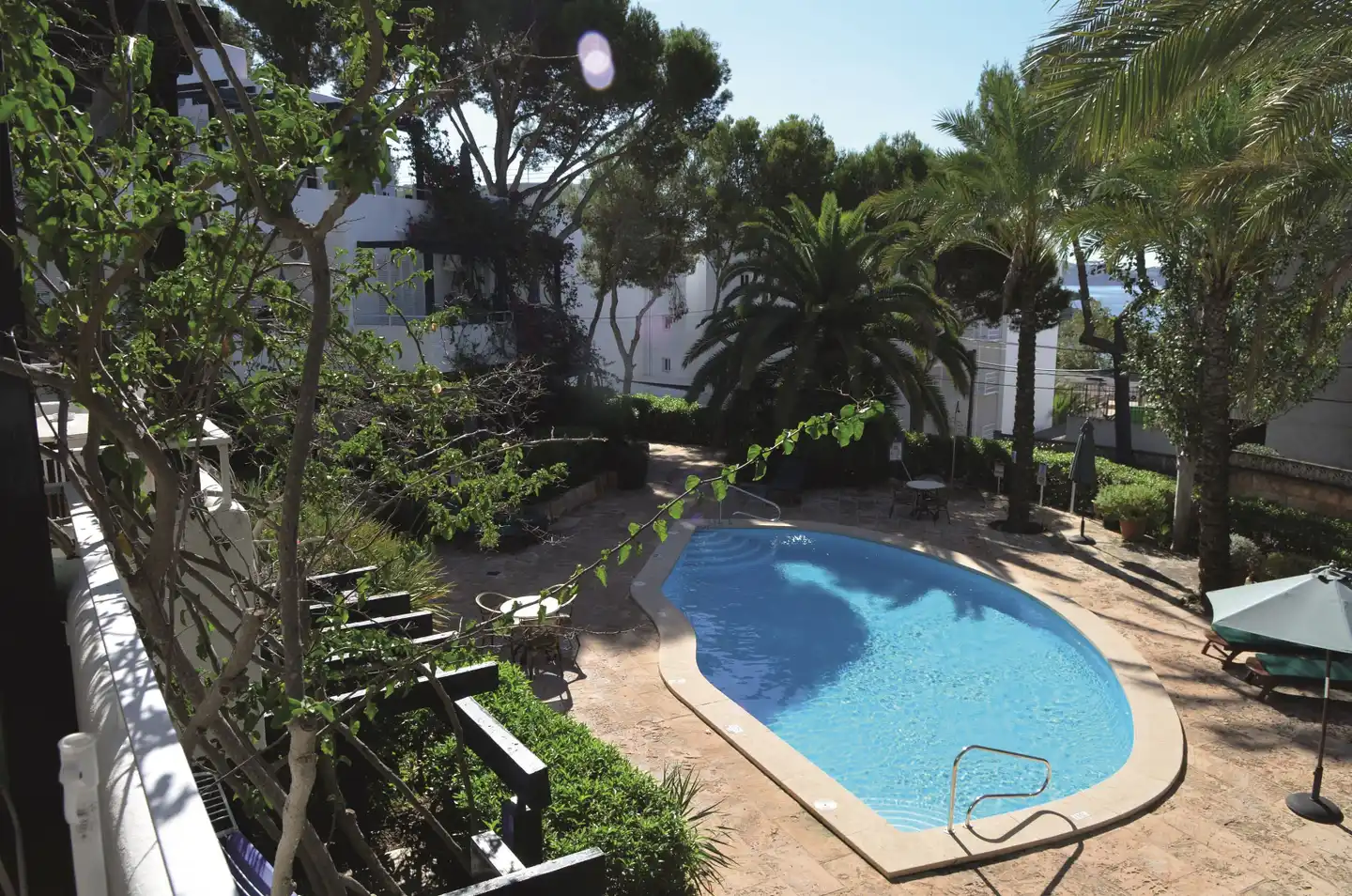 Los Tilos Pool
