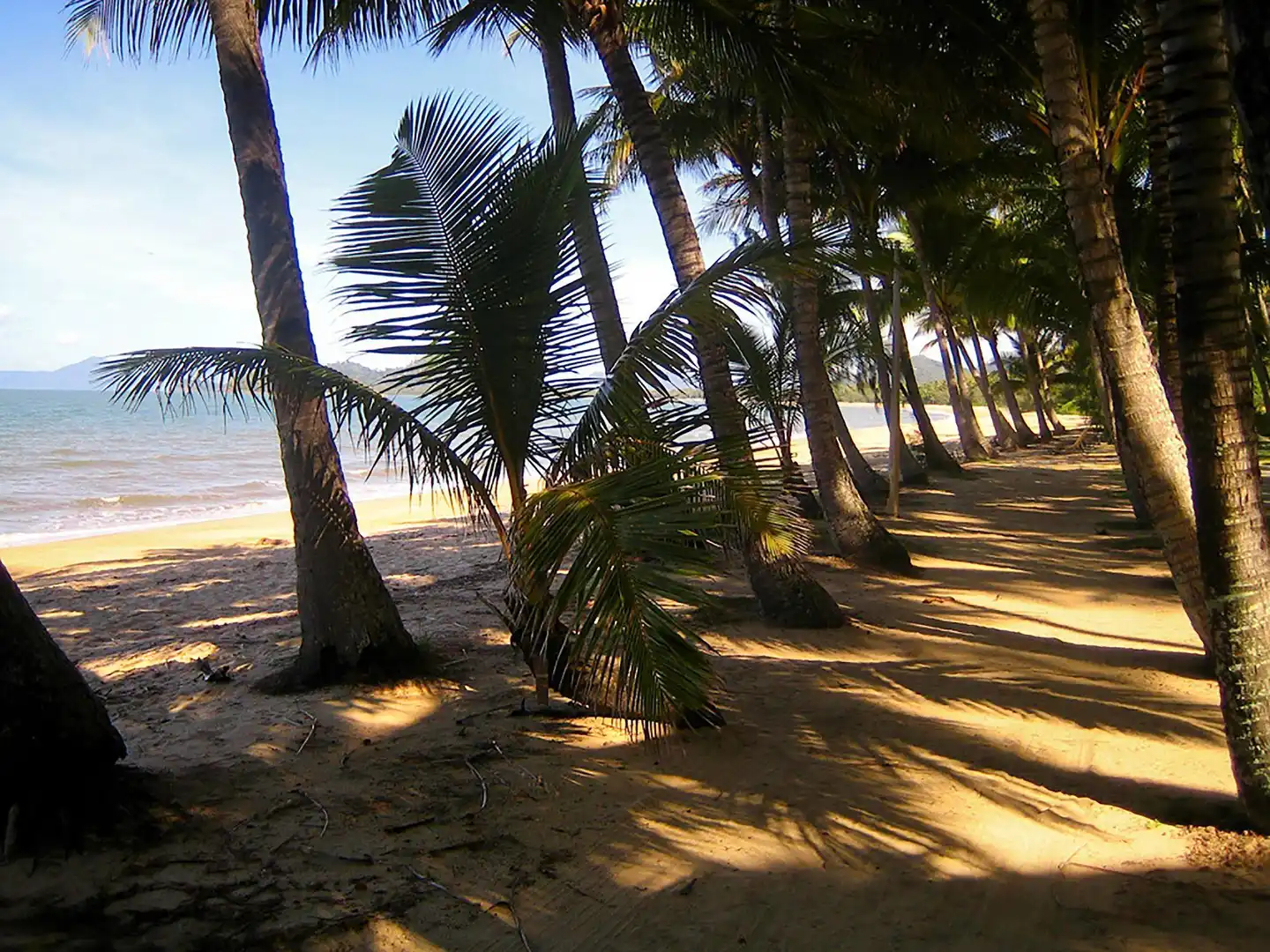 Novotel Cairns Oasis Resort Landschaft