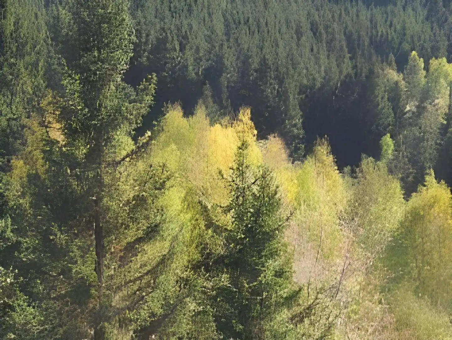 Schloßblick Landschaft
