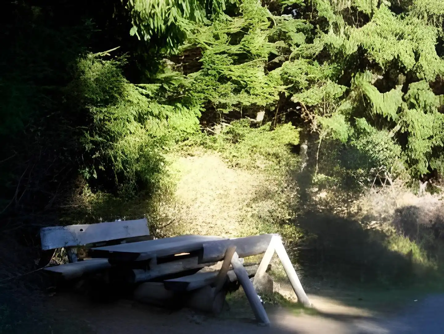 Schloßblick Landschaft