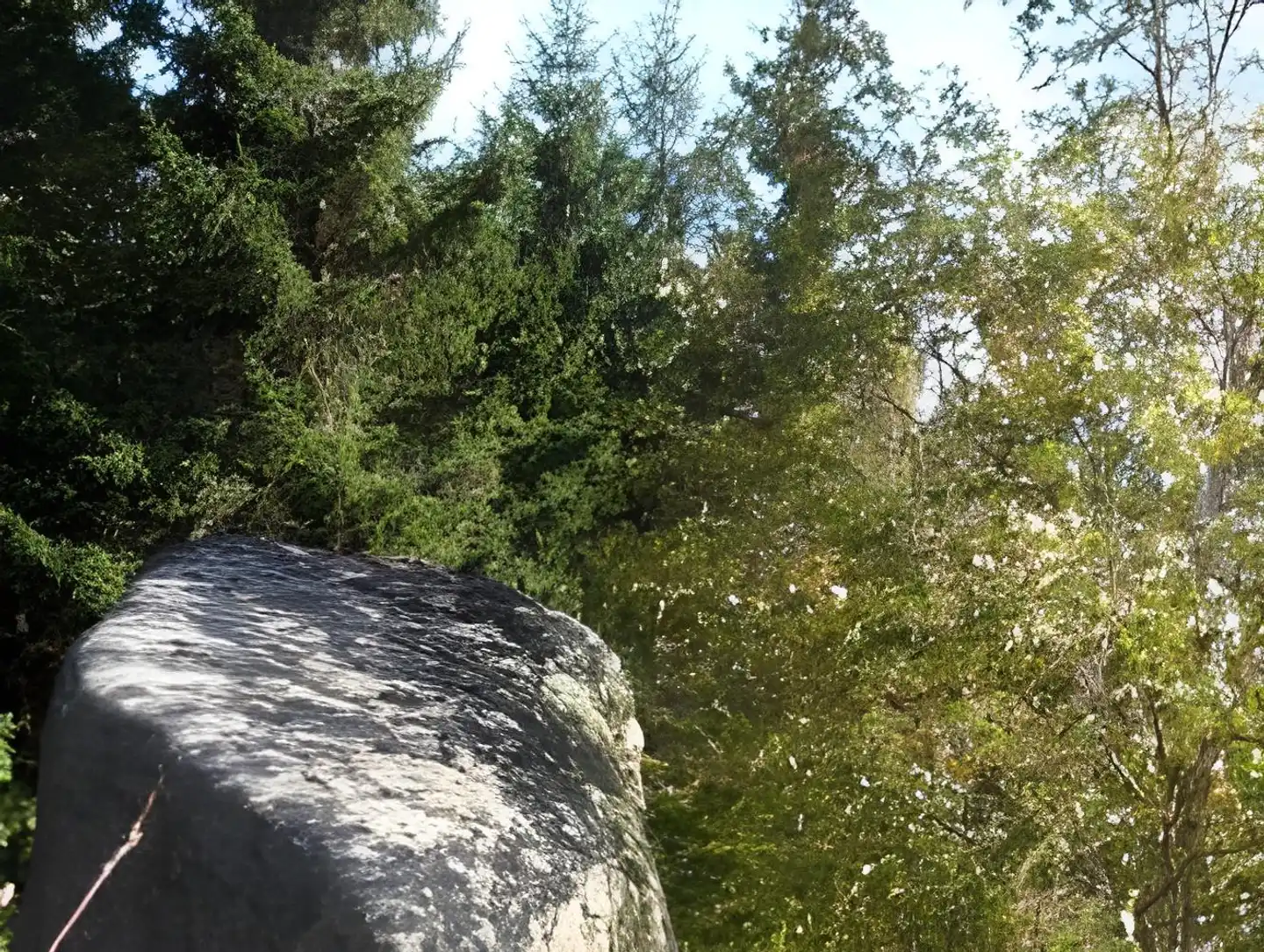 Schloßblick Landschaft