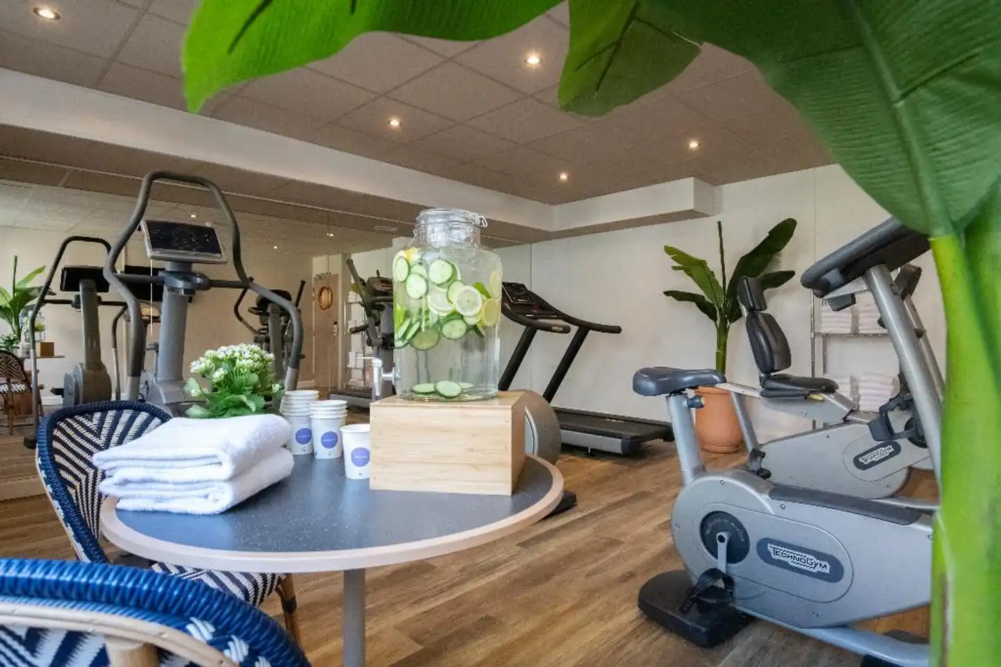 Novotel Suites Nice Airport Hotel Sport und Entertainment