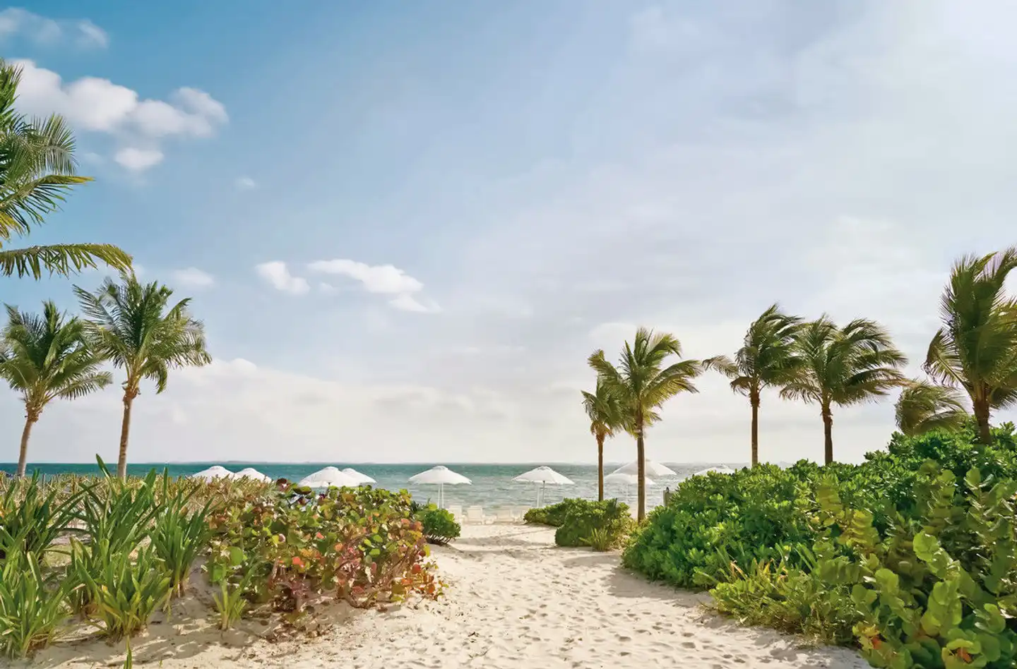 SLS Playa Mujeres Landschaft