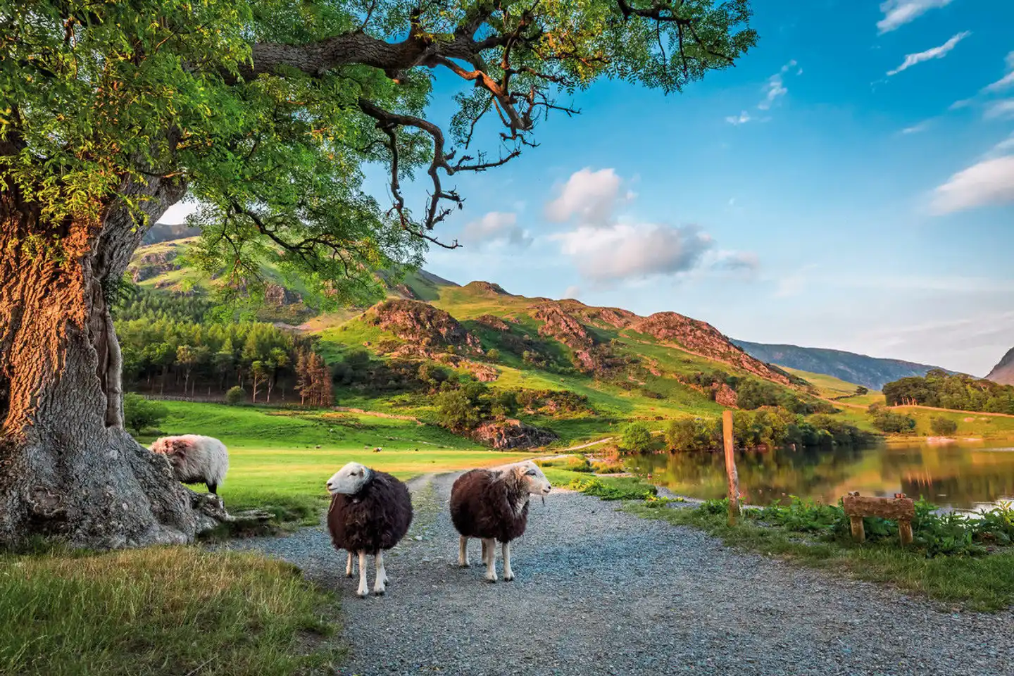 Britische Inseln Rundreise Tiere