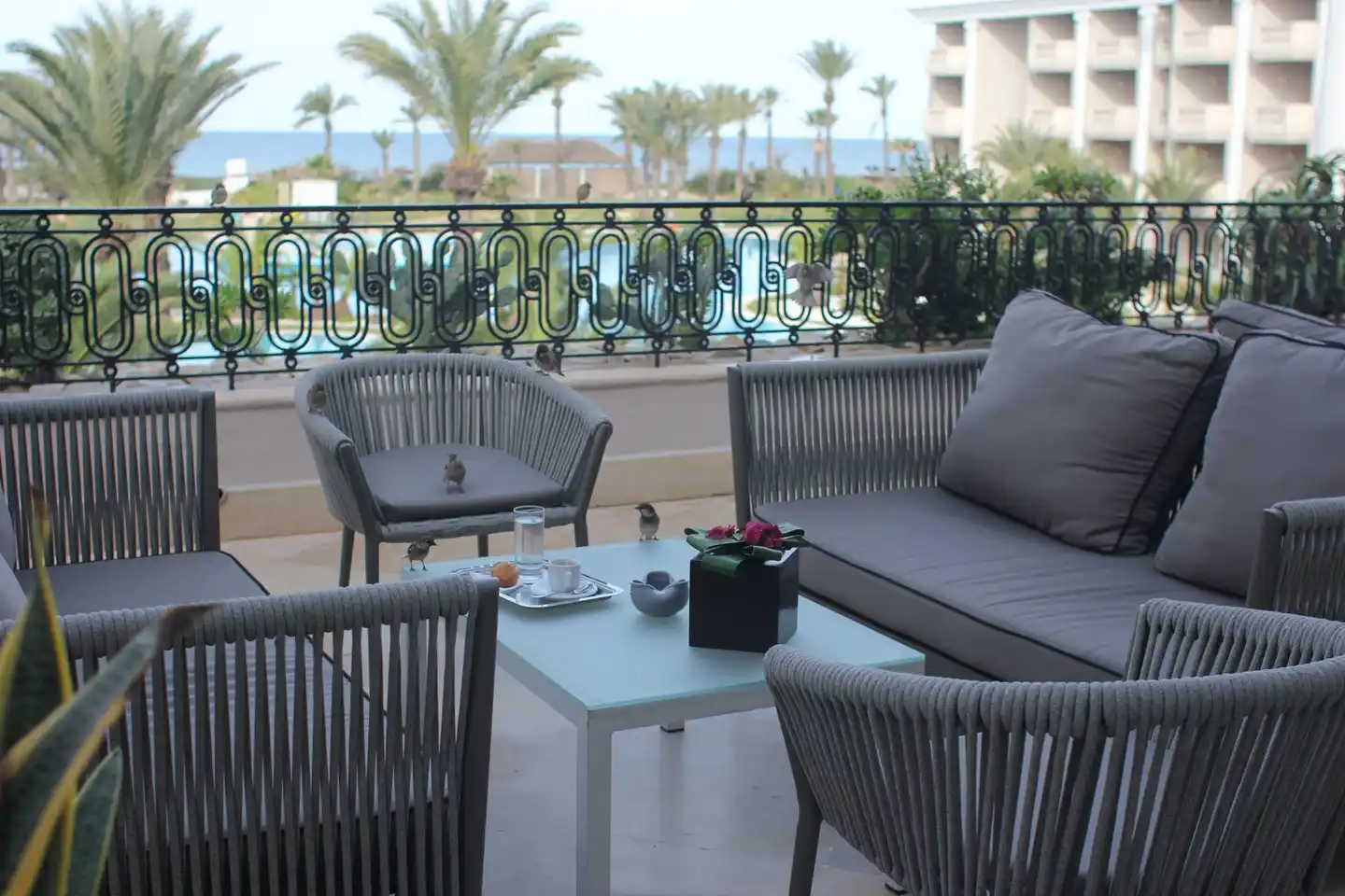 Royal Thalassa Monastir Terrasse