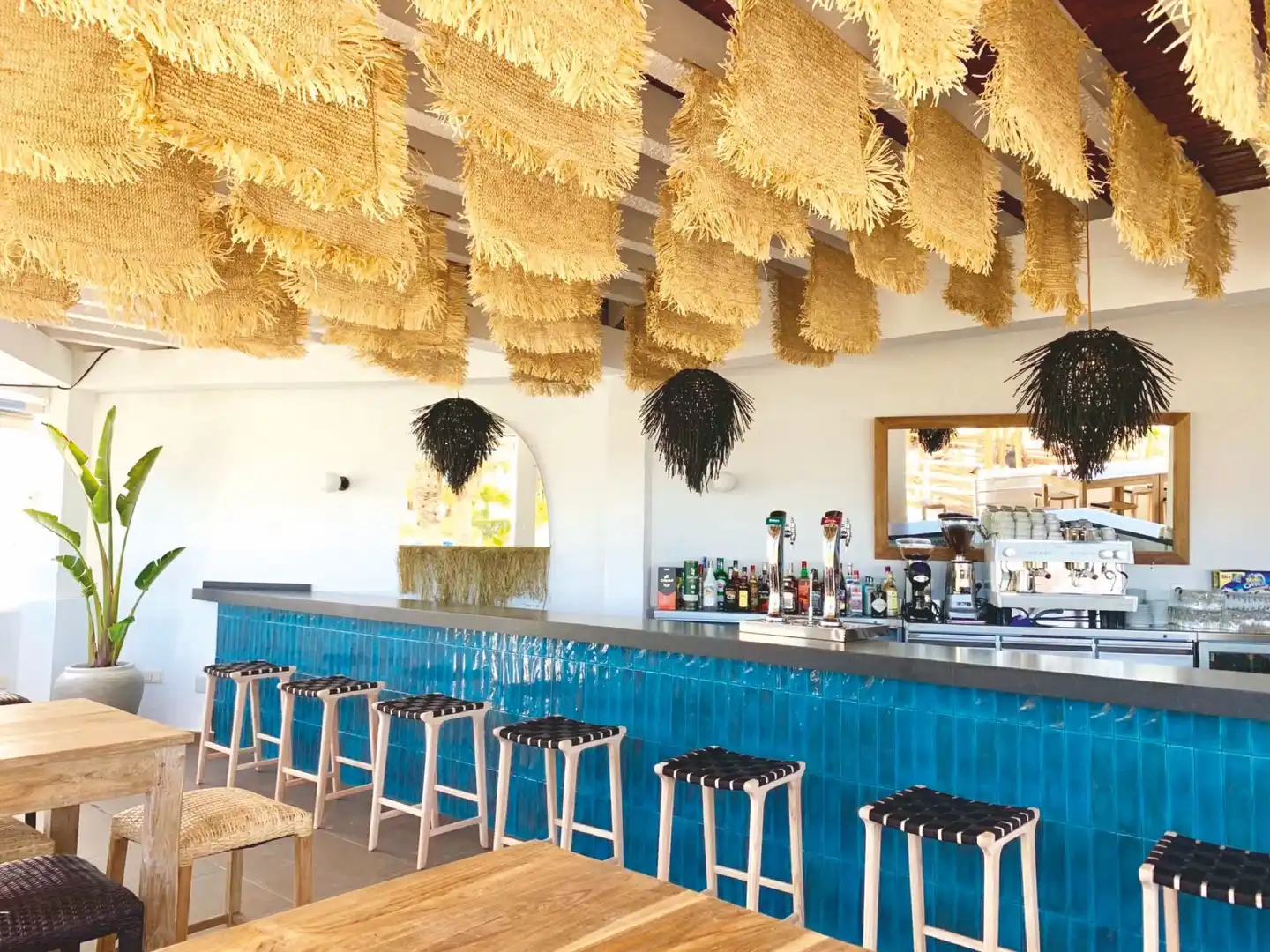 Fergus Conil Park Bar