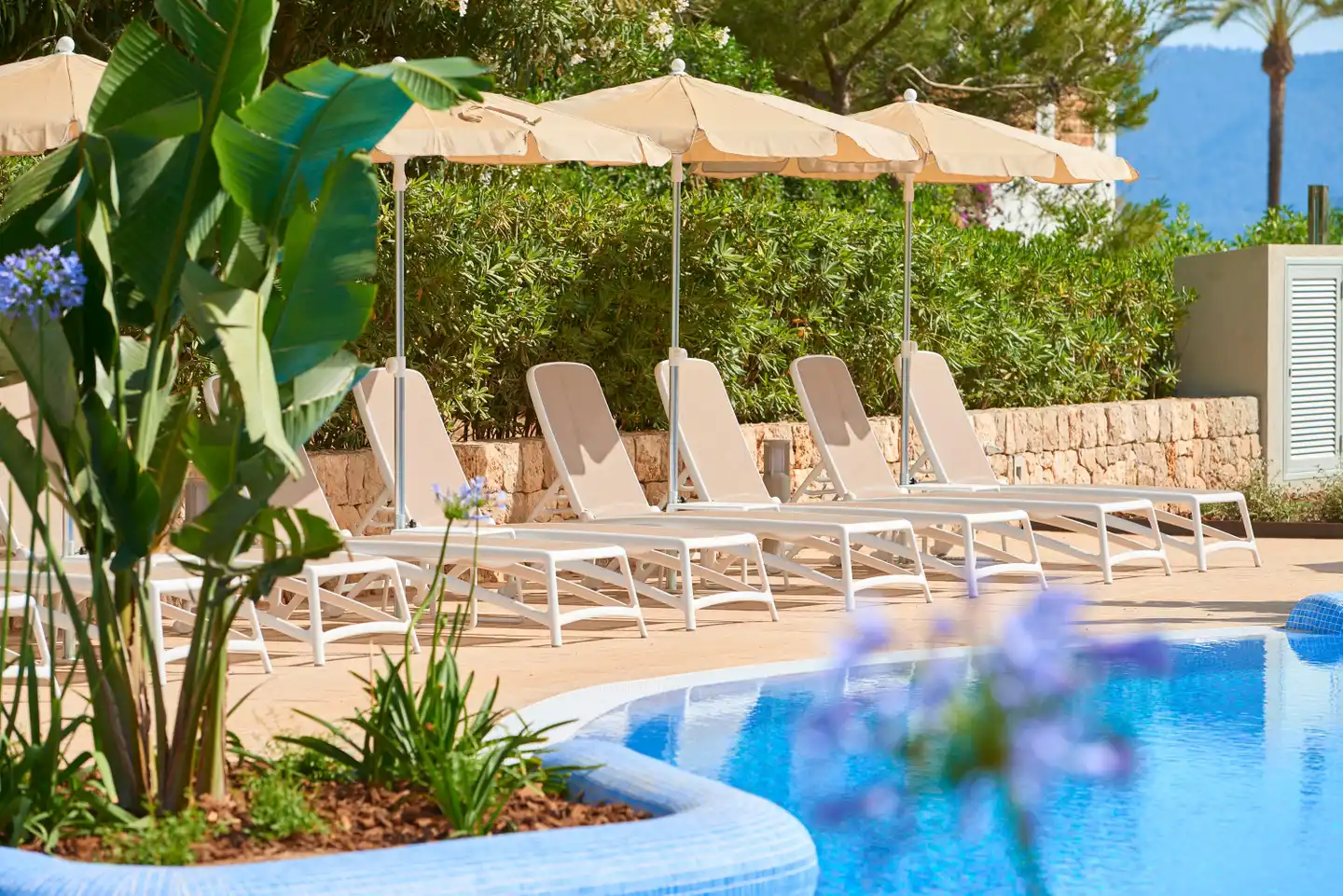 Hipotels Bahia Cala Millor POOL