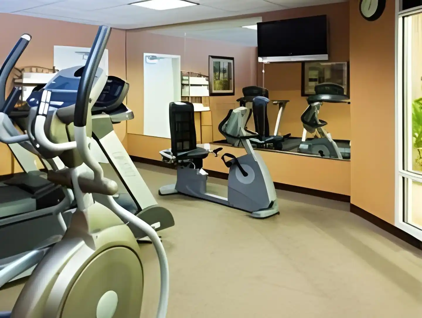 Holiday Inn & Suites Asheville Downtown Sport und Entertainment