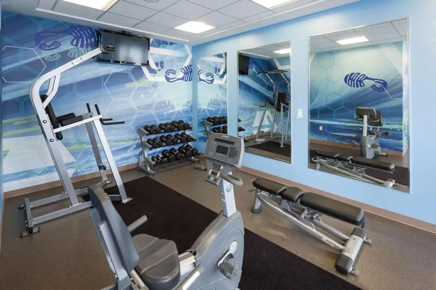 SpringHill Suites by Marriott Orlando at SeaWorld® Sport und Entertainment