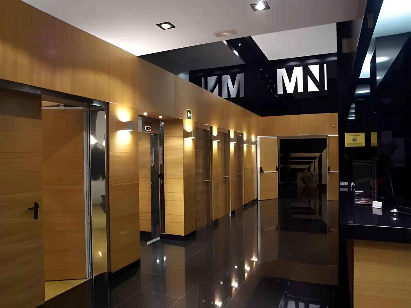 Málaga Nostrum Aeropuerto Lobby