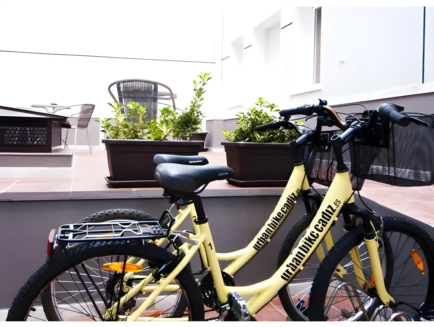 Apartamentos Plaza de la Luz Cádiz Sport und Entertainment
