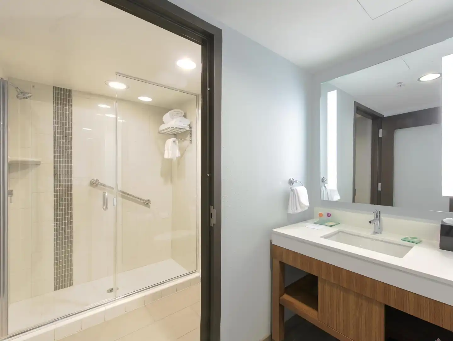 DoubleTree by Hilton Asheville Downtown Badezimmer